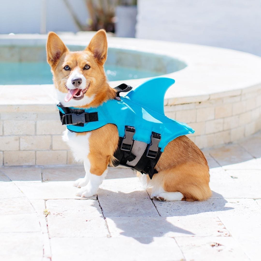 The Sharkvest® | Reddingsvest voor Honden The Petshop