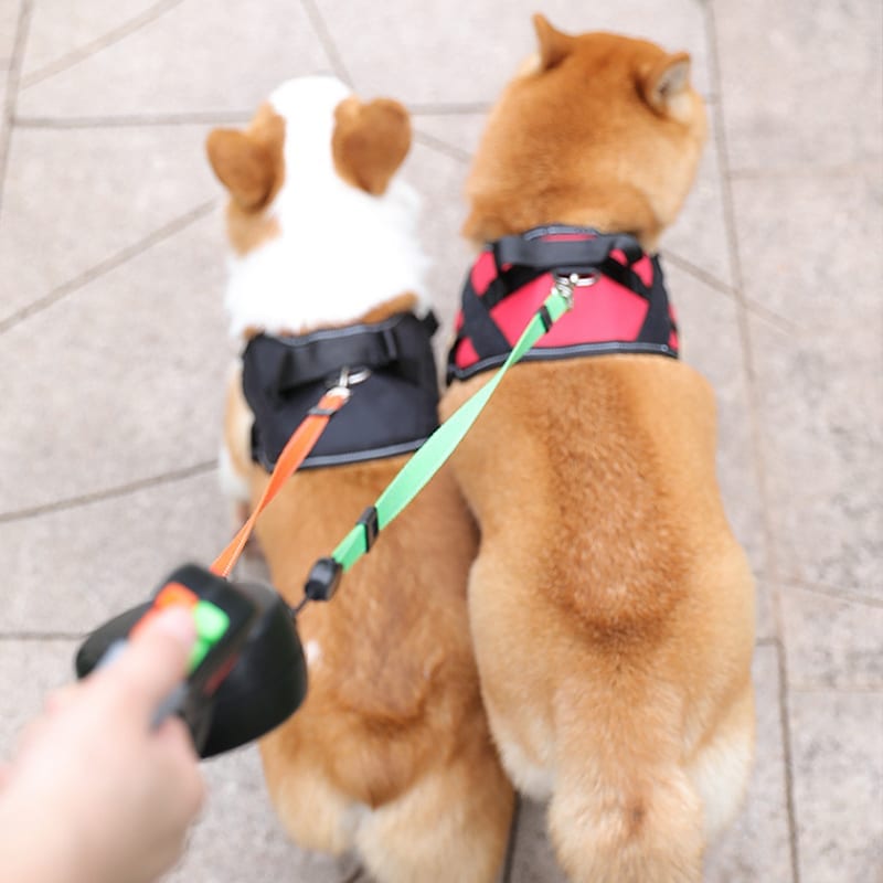 invoeren modus Afdaling DUO doggie PRO I twee honden, één riem – The Petshop